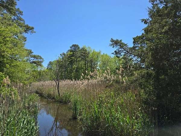 20.5 Acres of Agricultural Land for Sale in Bloxom, Virginia