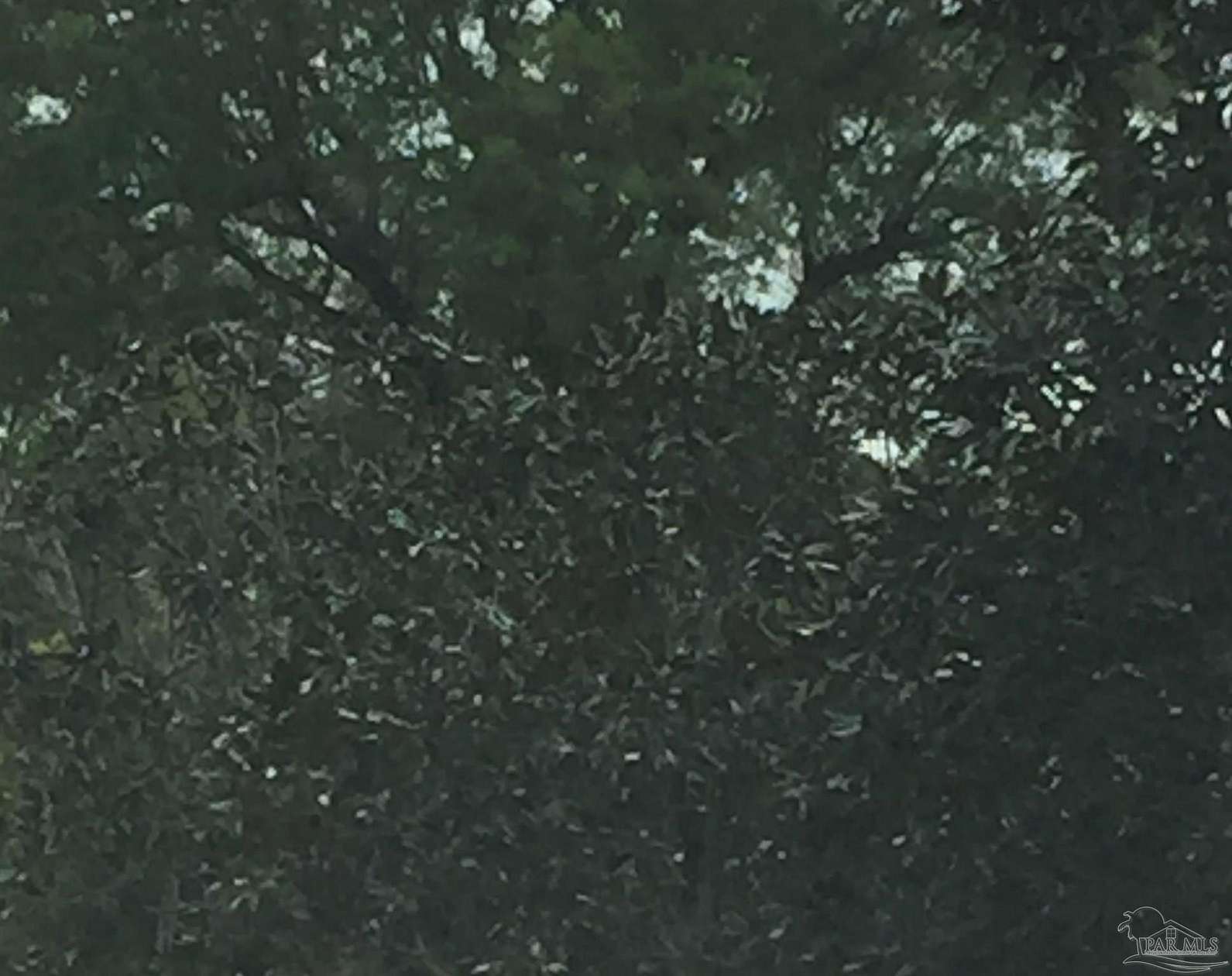 11 Acres of Land for Sale in Lillian, Alabama