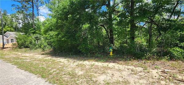 0.31 Acres of Residential Land for Sale in Citrus Springs, Florida