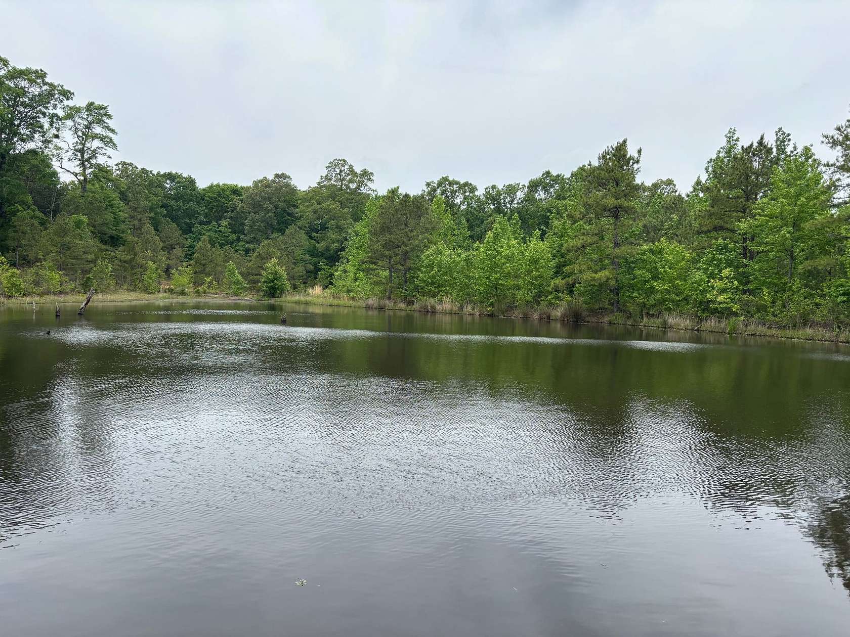 65 Acres of Recreational Land for Sale in Bradford, Arkansas