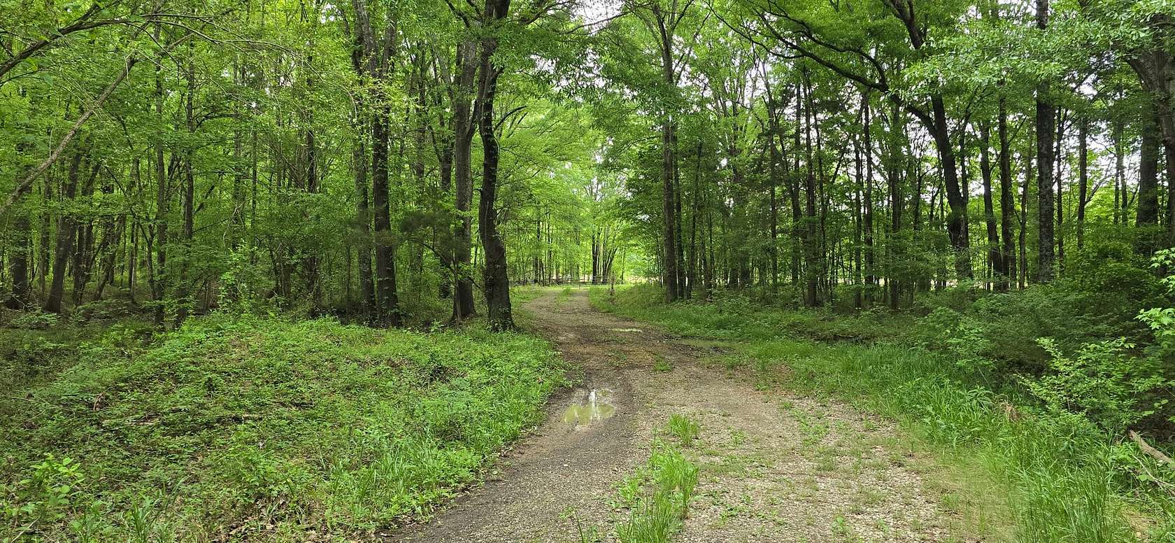 529 Acres of Recreational Land & Farm for Sale in Mercer, Tennessee