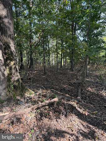 8.3 Acres of Land for Sale in Winchester, Virginia