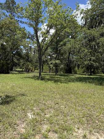 3.16 Acres of Residential Land for Sale in Conway, South Carolina