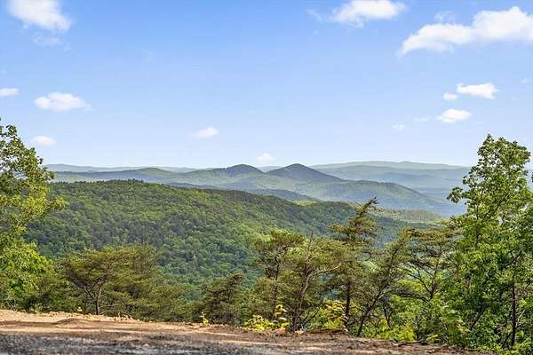 70 Acres of Recreational Land for Sale in Chatsworth, Georgia