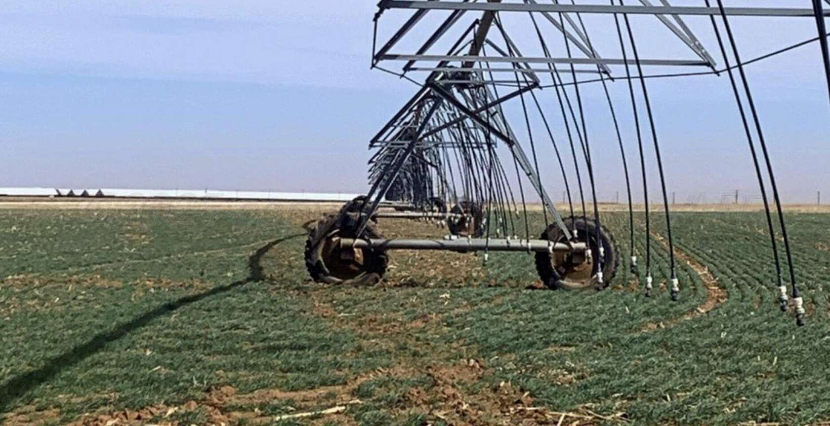 1,274 Acres of Land for Sale in Hartley, Texas