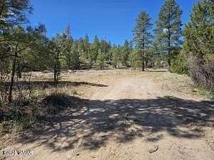 3 Acres of Residential Land for Sale in Heber, Arizona