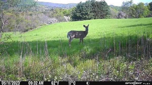 9.5 Acres of Residential Land for Sale in Berlin, New York