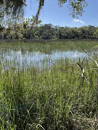 0.5 Acres of Residential Land for Sale in Beaufort, South Carolina