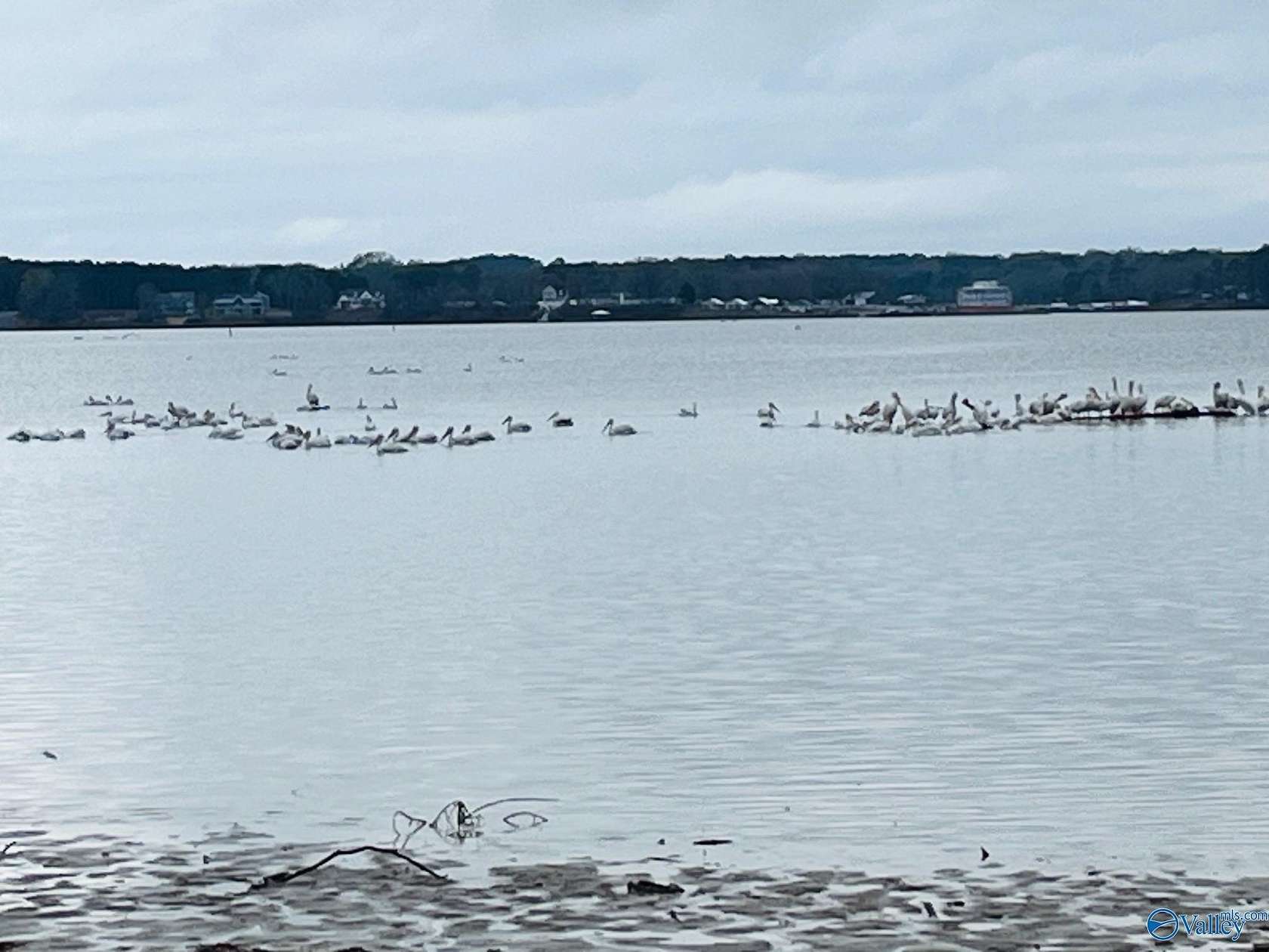 0.59 Acres of Land for Sale in Centre, Alabama