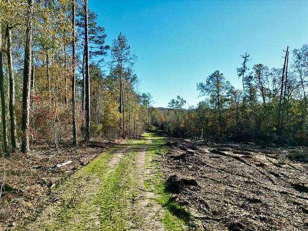 50 Acres of Land for Sale in Troy, Alabama