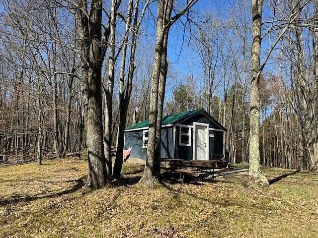 40 Acres of Recreational Land for Sale in Le Roy, Michigan