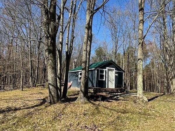 40 Acres of Recreational Land for Sale in Le Roy, Michigan