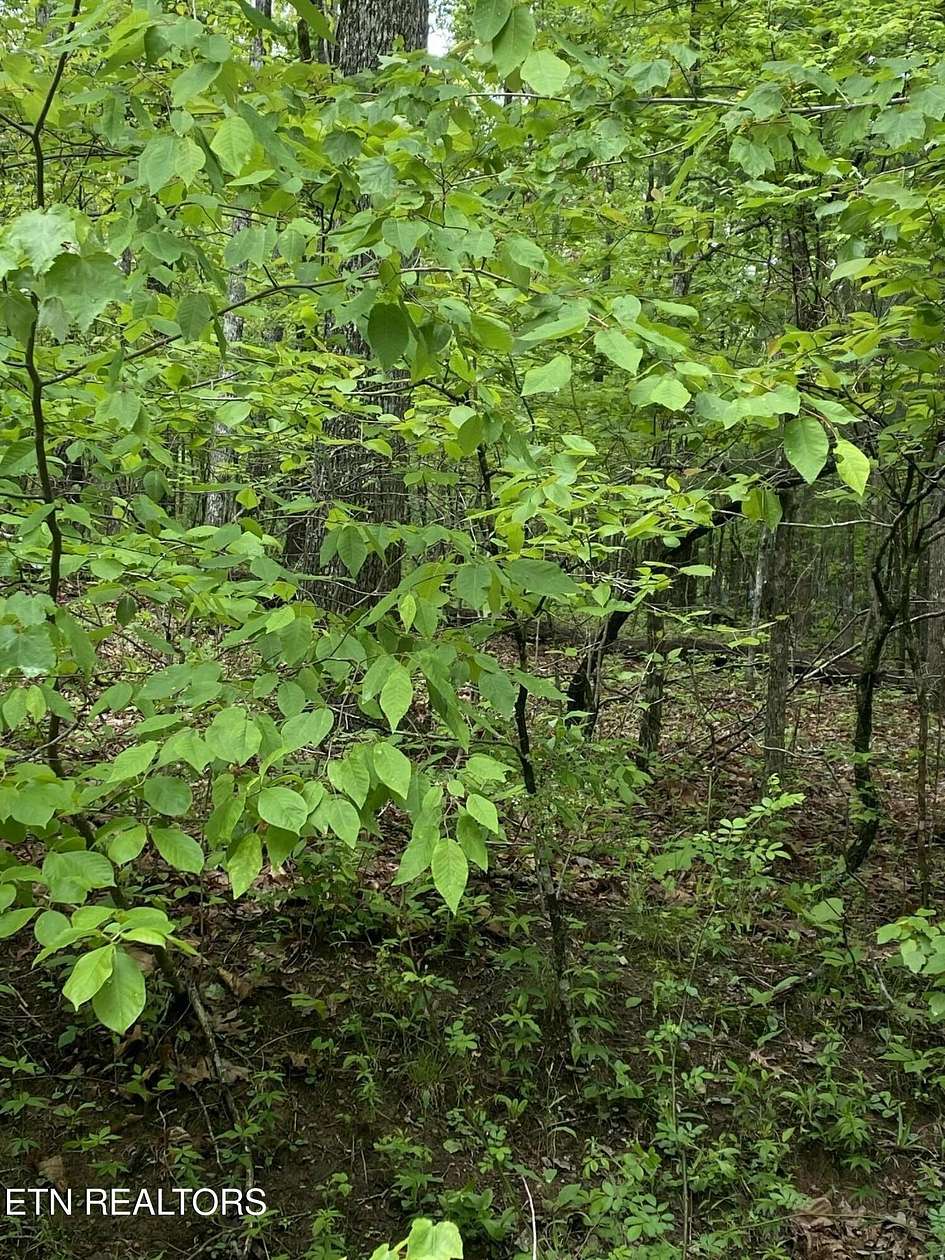 0.26 Acres of Land for Sale in Crossville, Tennessee