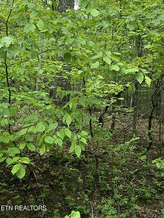 0.26 Acres of Land for Sale in Crossville, Tennessee