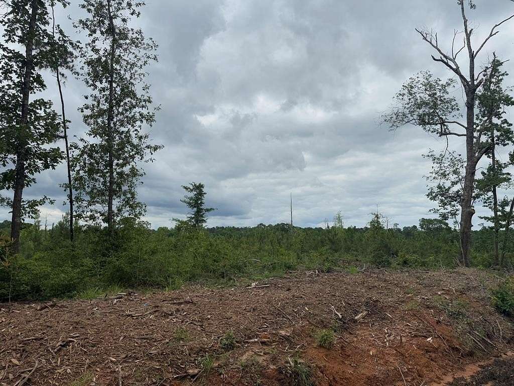 77.4 Acres of Recreational & Residential Land for Sale in Jasper, Texas