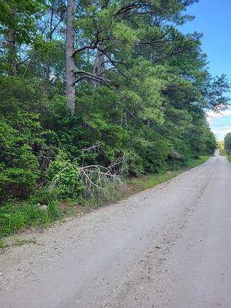 12 Acres of Land for Sale in Corrigan, Texas