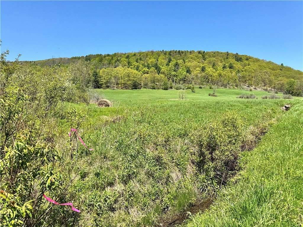 11.7 Acres of Land for Sale in Cobleskill, New York