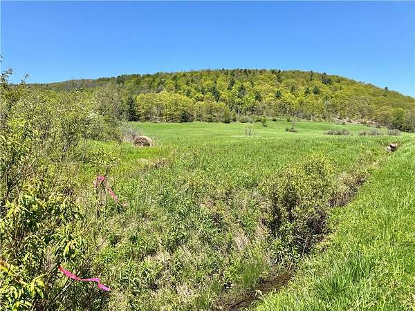 11.7 Acres of Land for Sale in Cobleskill, New York