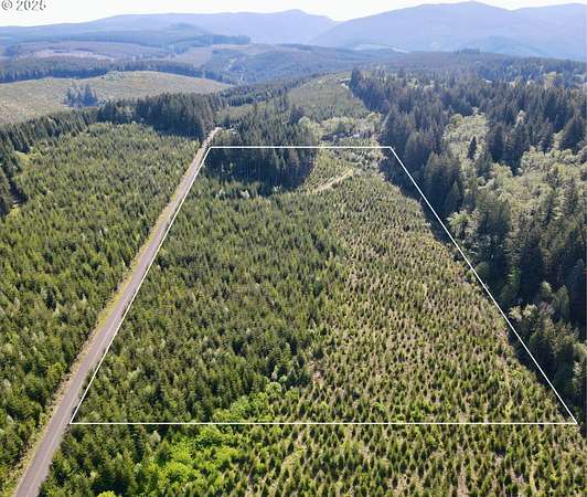 19.4 Acres of Land for Sale in Estacada, Oregon