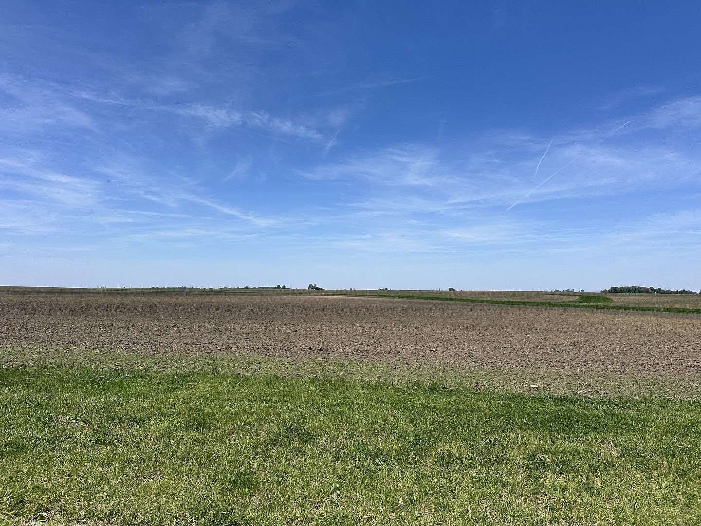 13.4 Acres of Land for Sale in Homer, Illinois