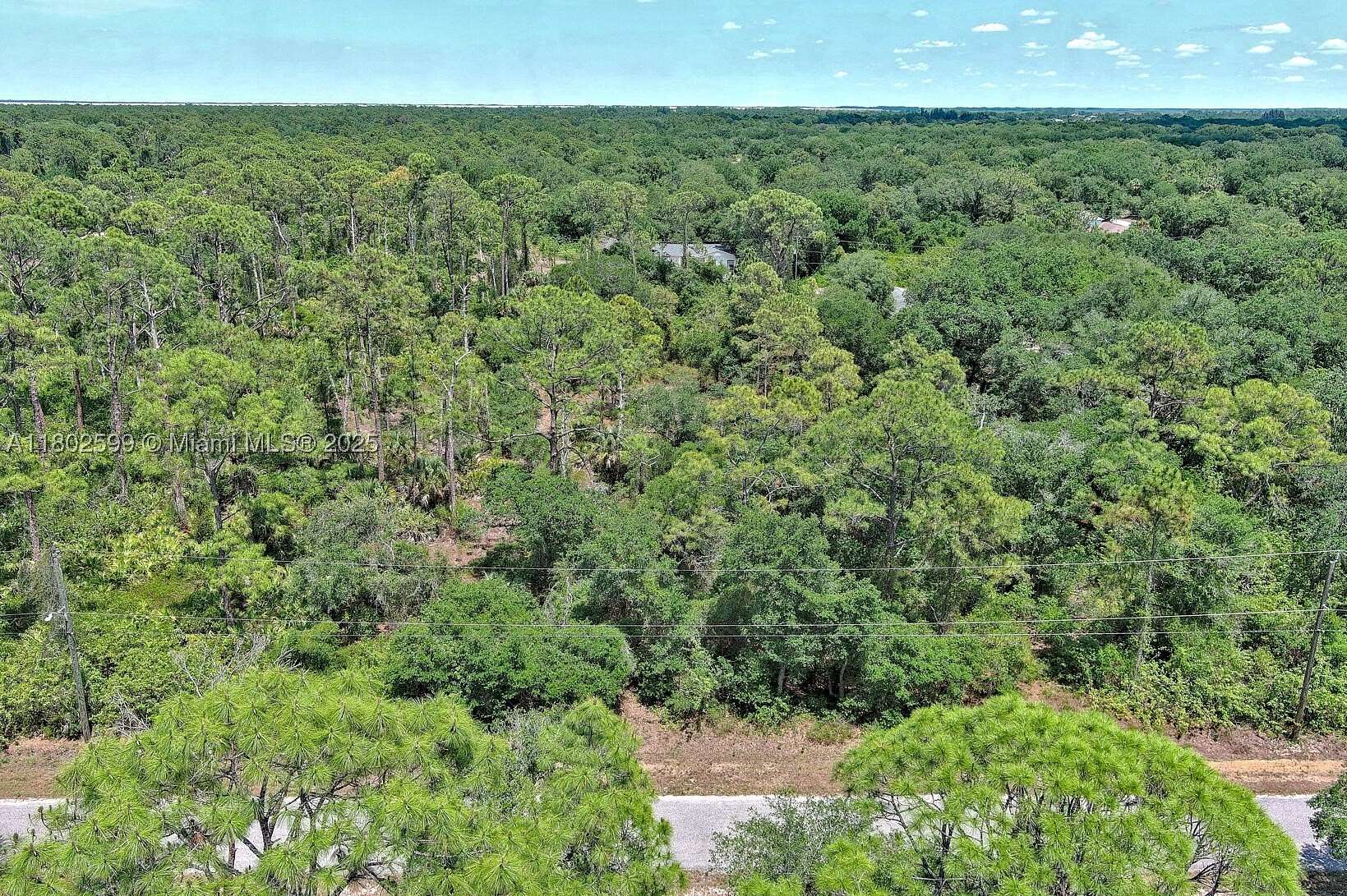 1 Acre of Land for Sale in Lehigh Acres, Florida