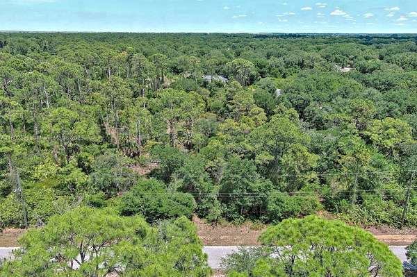 1 Acre of Residential Land for Sale in Lehigh Acres, Florida