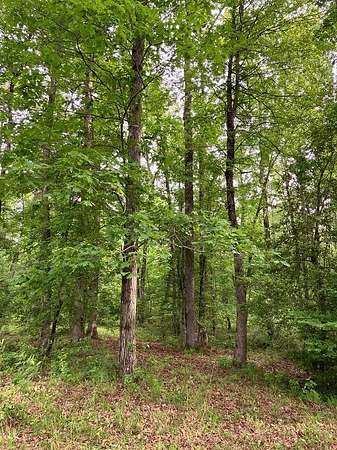 3.19 Acres of Residential Land for Sale in Murfreesboro, Arkansas