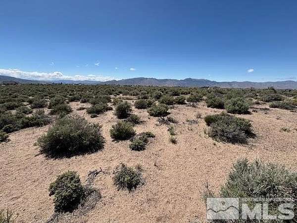 5 Acres of Residential Land for Sale in Smith, Nevada