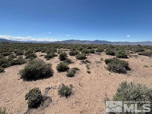 5 Acres of Residential Land for Sale in Smith, Nevada