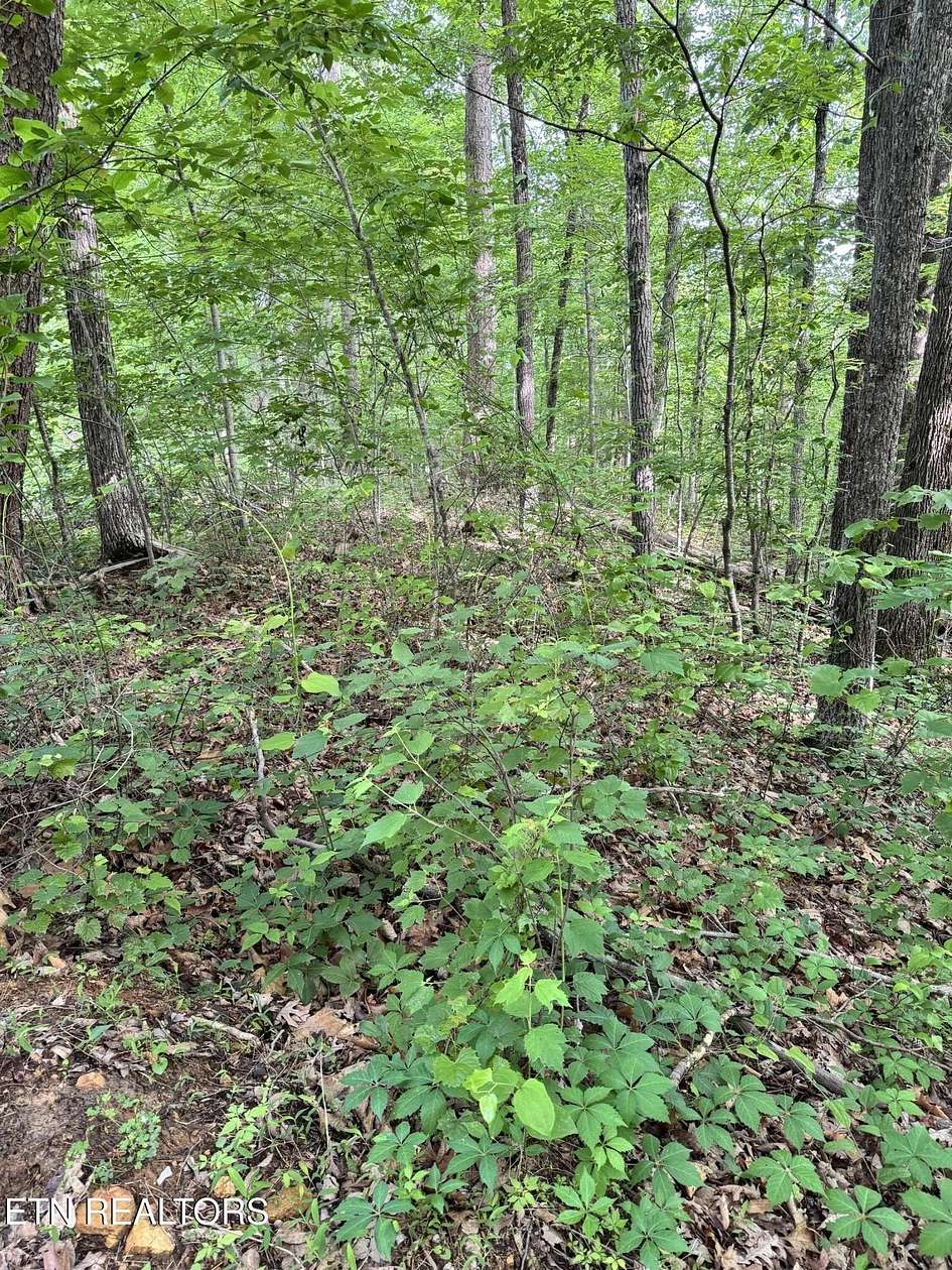 2 Acres of Land for Sale in Seymour, Tennessee