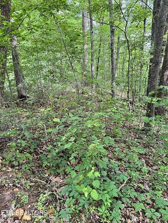 2 Acres of Land for Sale in Seymour, Tennessee