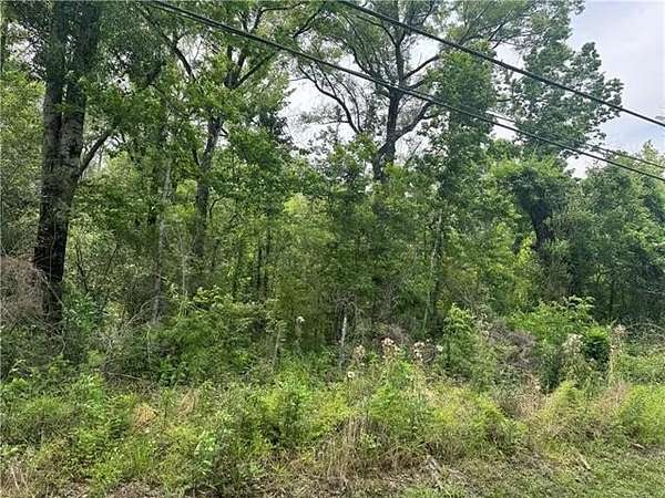 1.5 Acres of Residential Land for Sale in Roseland, Louisiana