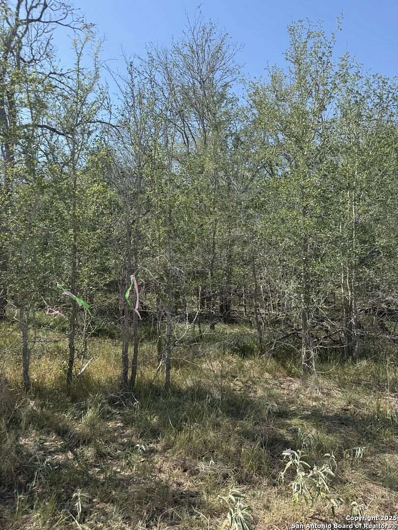 0.32 Acres of Land for Sale in Sutherland Springs, Texas