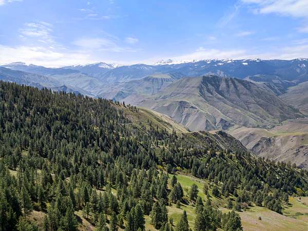 2,041 Acres of Recreational Land for Sale in Riggins, Idaho