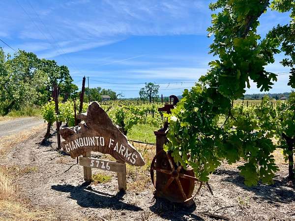 18.3 Acres of Improved Land for Sale in Santa Rosa, California