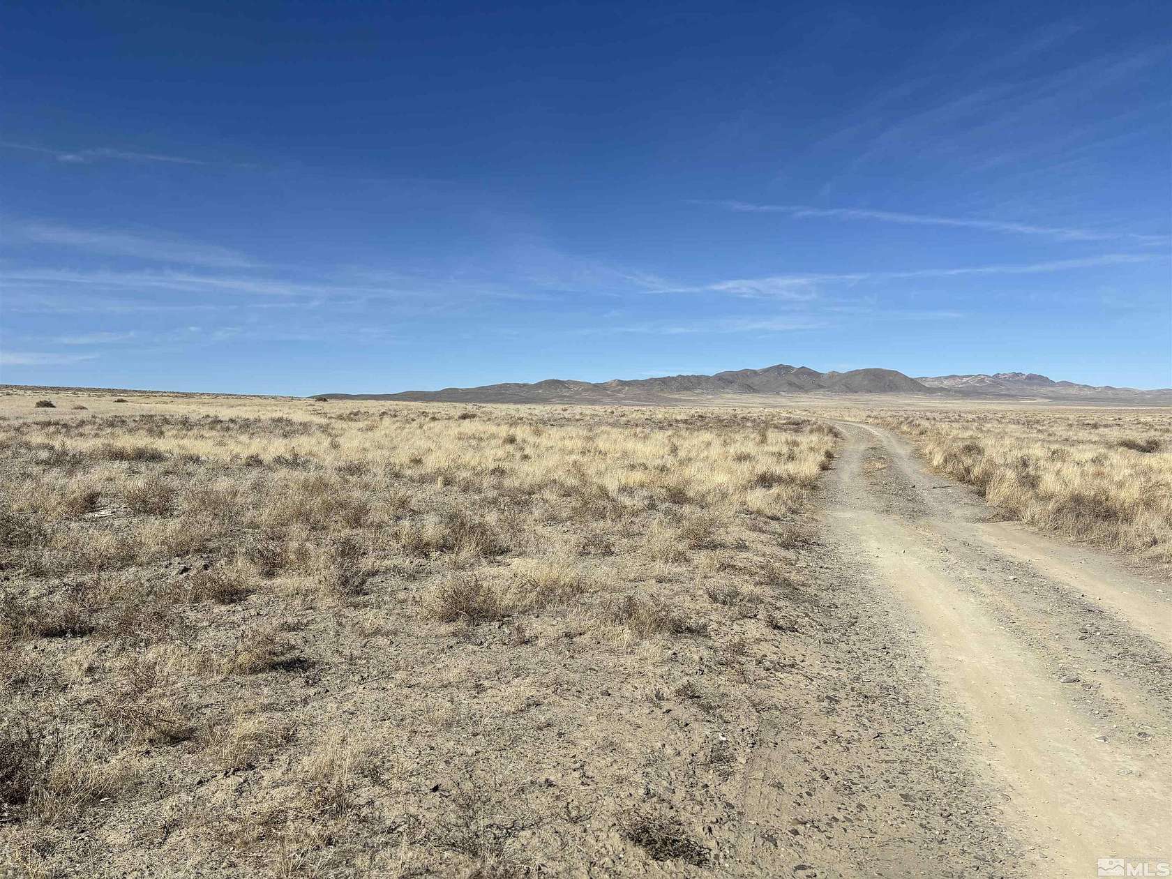 42.9 Acres of Land for Sale in Lovelock, Nevada
