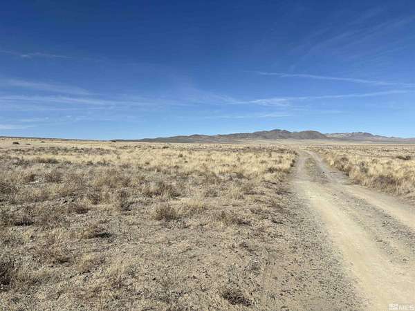 42.9 Acres of Land for Sale in Lovelock, Nevada