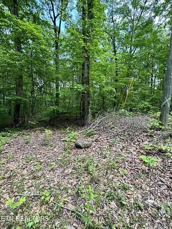 2 Acres of Land for Sale in Seymour, Tennessee