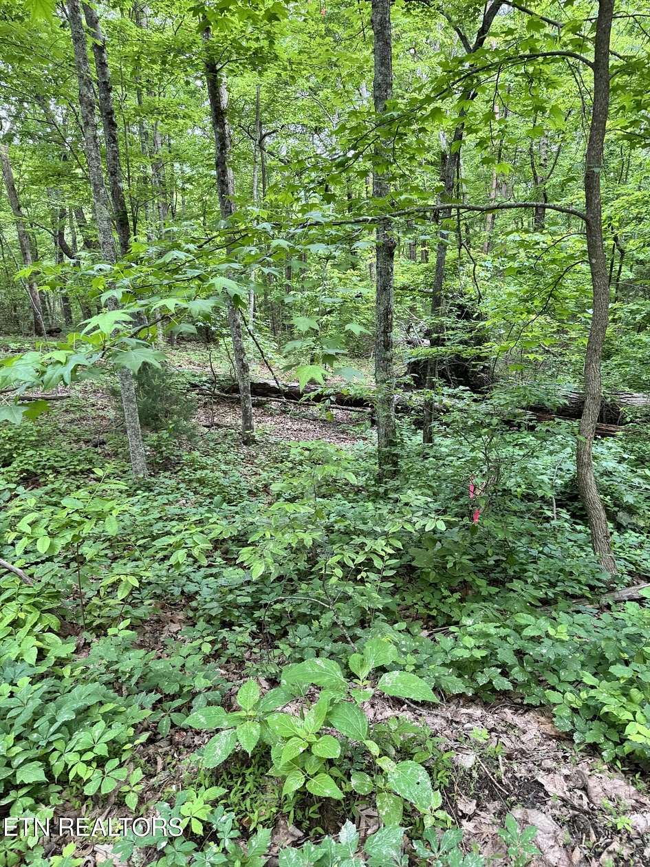 2 Acres of Land for Sale in Seymour, Tennessee