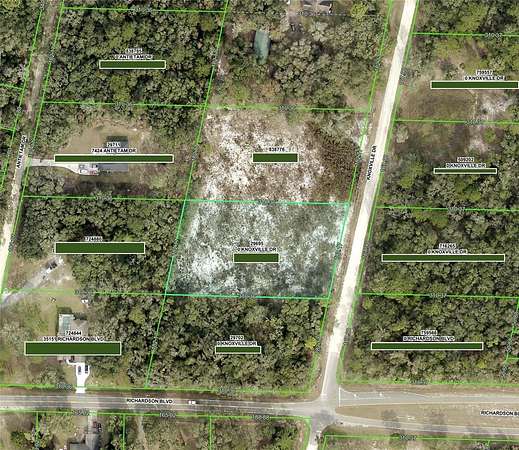 1.3 Acres of Residential Land for Sale in Webster, Florida