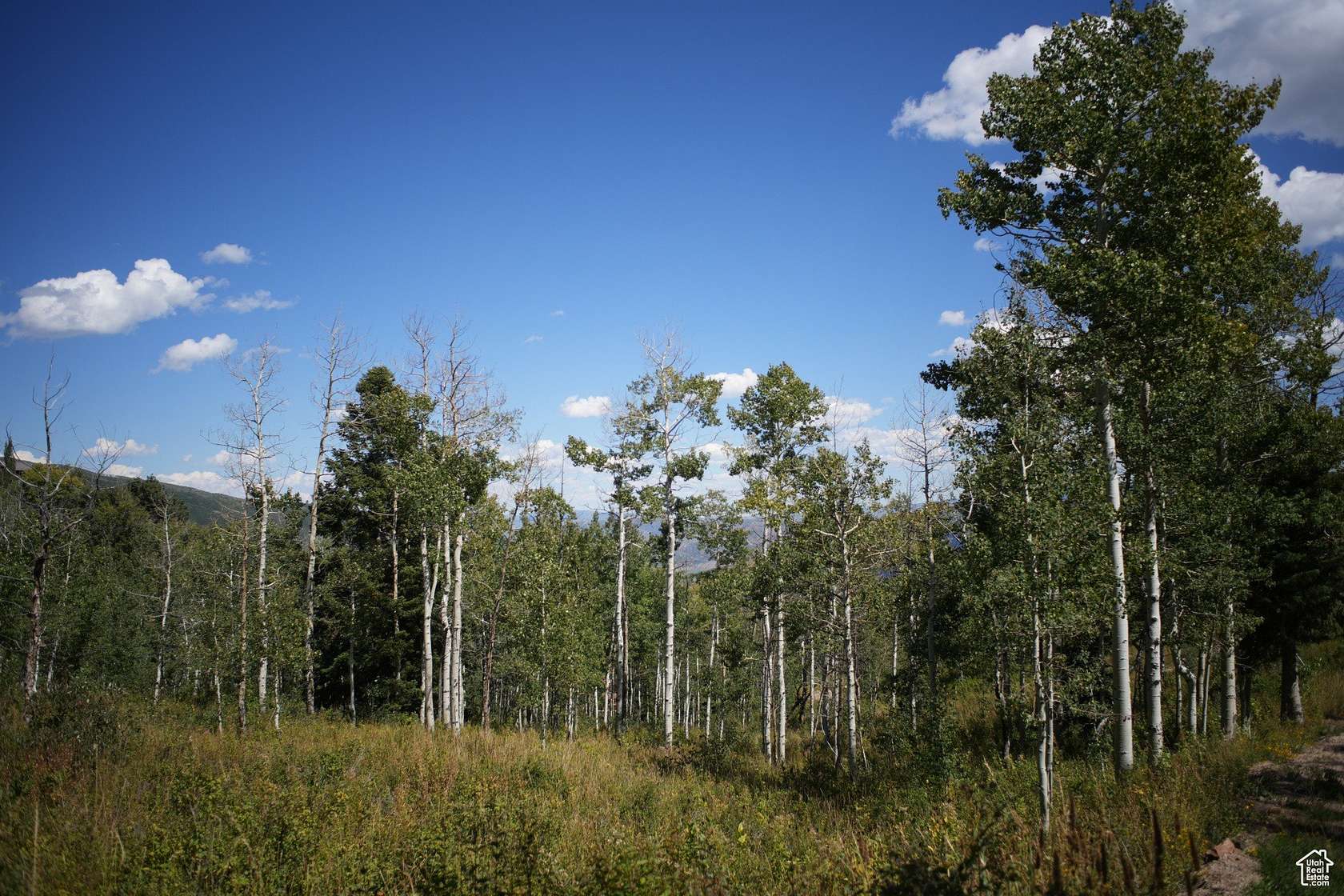 3.47 Acres of Land for Sale in Wanship, Utah