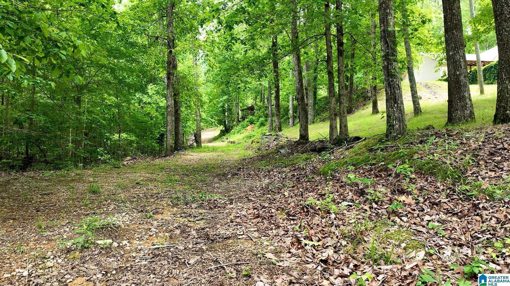 6.9 Acres of Residential Land for Sale in Ashville, Alabama