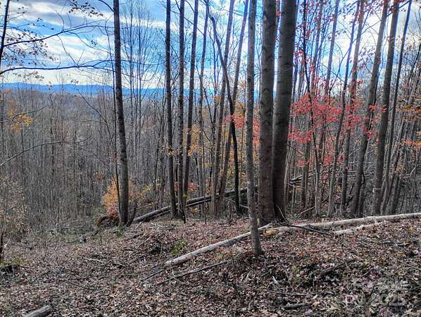 10.3 Acres of Land for Sale in Lenoir, North Carolina