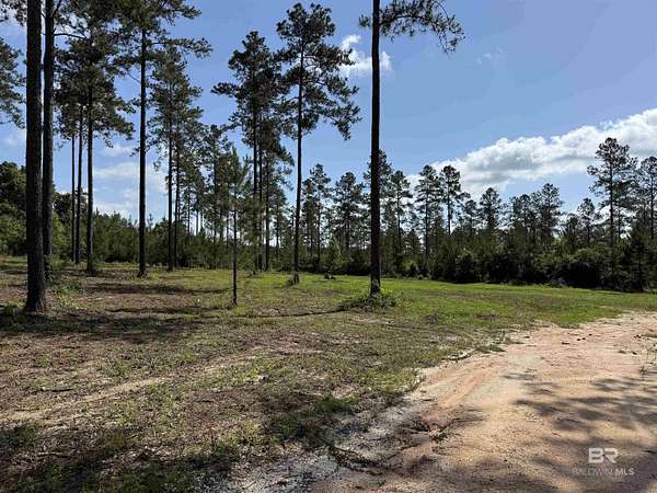 7 Acres of Residential Land for Sale in Atmore, Alabama