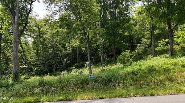 4.43 Acres of Residential Land for Sale in Butler, Tennessee