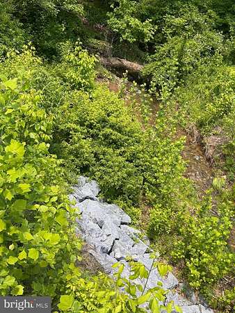 0.31 Acres of Land for Sale in Brunswick, Maryland