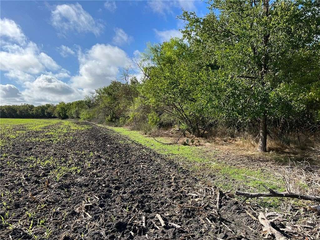 99 Acres of Land for Sale in Rogers, Texas