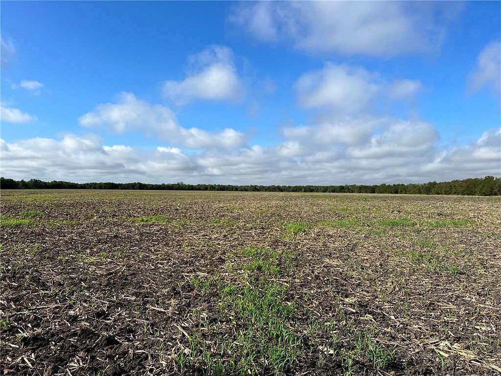 99 Acres of Land for Sale in Rogers, Texas