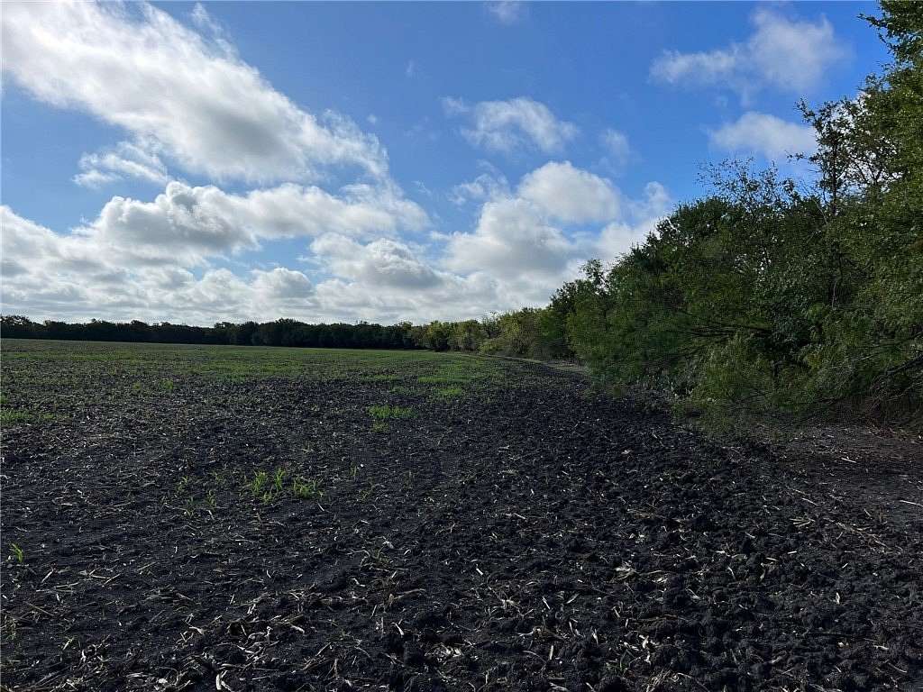 99 Acres of Land for Sale in Rogers, Texas