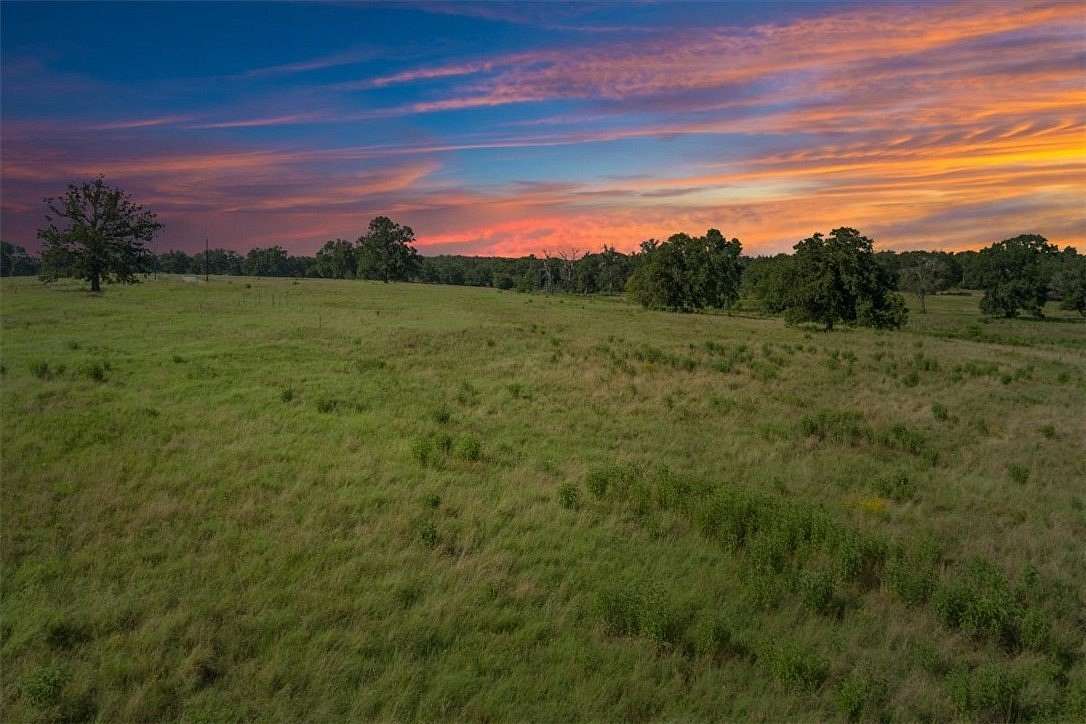 20 Acres of Recreational & Residential Land for Sale in Kosse, Texas